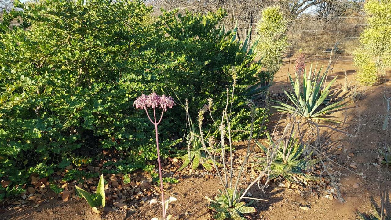 Hornbills Rest Country Home Палаборва Екстериор снимка